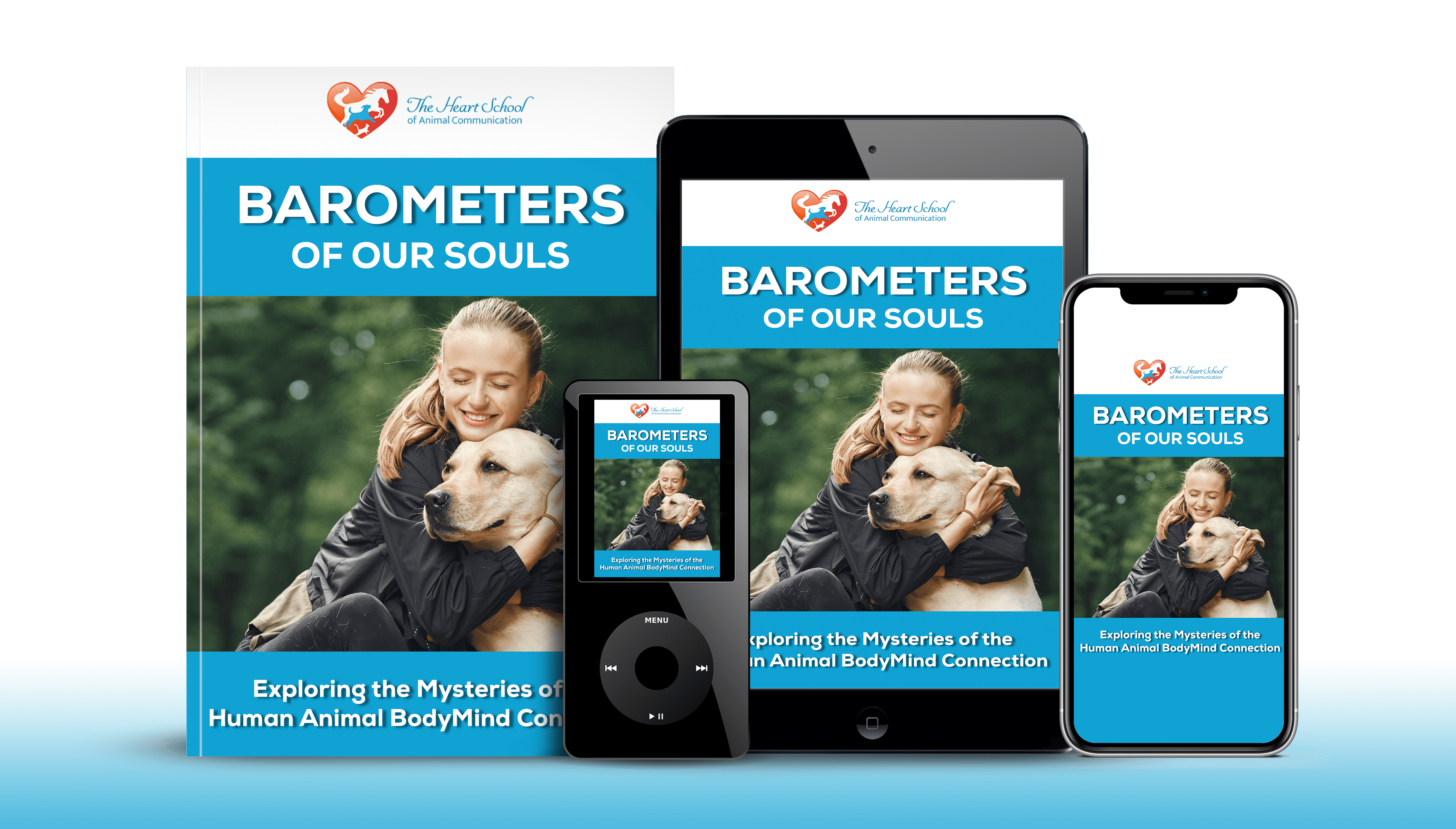 Barometers of our Souls course img