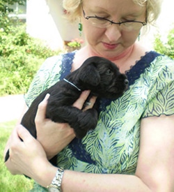 val_with_pet2