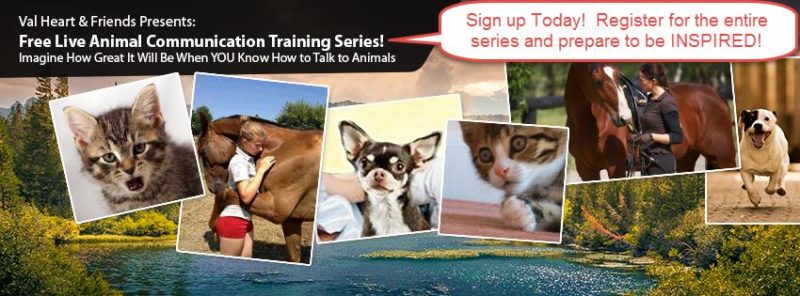 FB Cover Photo from Fiverr FB16962 tweaked for FB Event