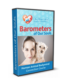 Human Animal BodyMind Connection