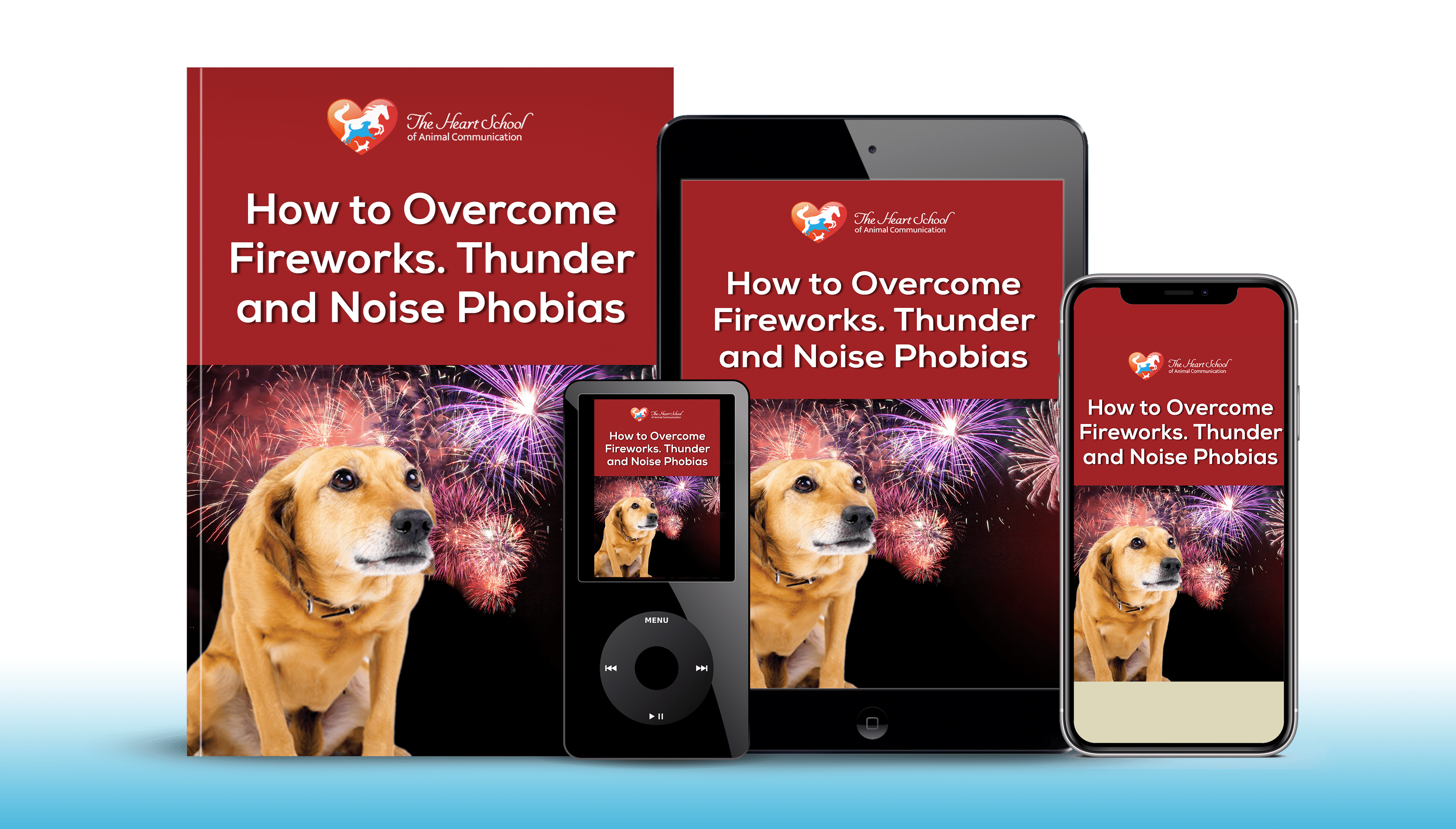 help pets overcome fears