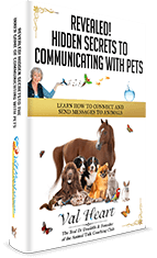 Hidden-Secrets-to-Communicating-with-Pets