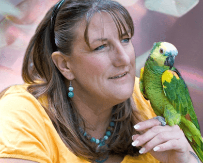 Stephanie L Brown