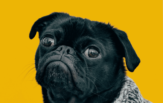 charles-deluvio-547196-unsplash