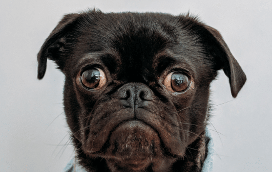 charles-deluvio-550068-unsplash