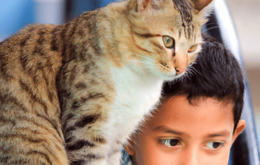 prince-abid-640750-unsplash