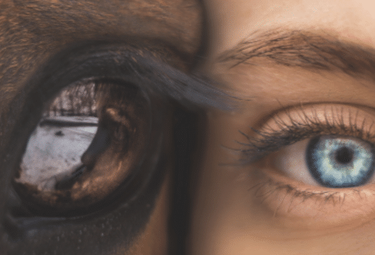 seth-macey-396196-unsplash