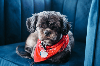 the-creative-exchange-530521-unsplash