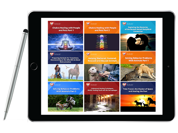 all-masterclasses-graphics