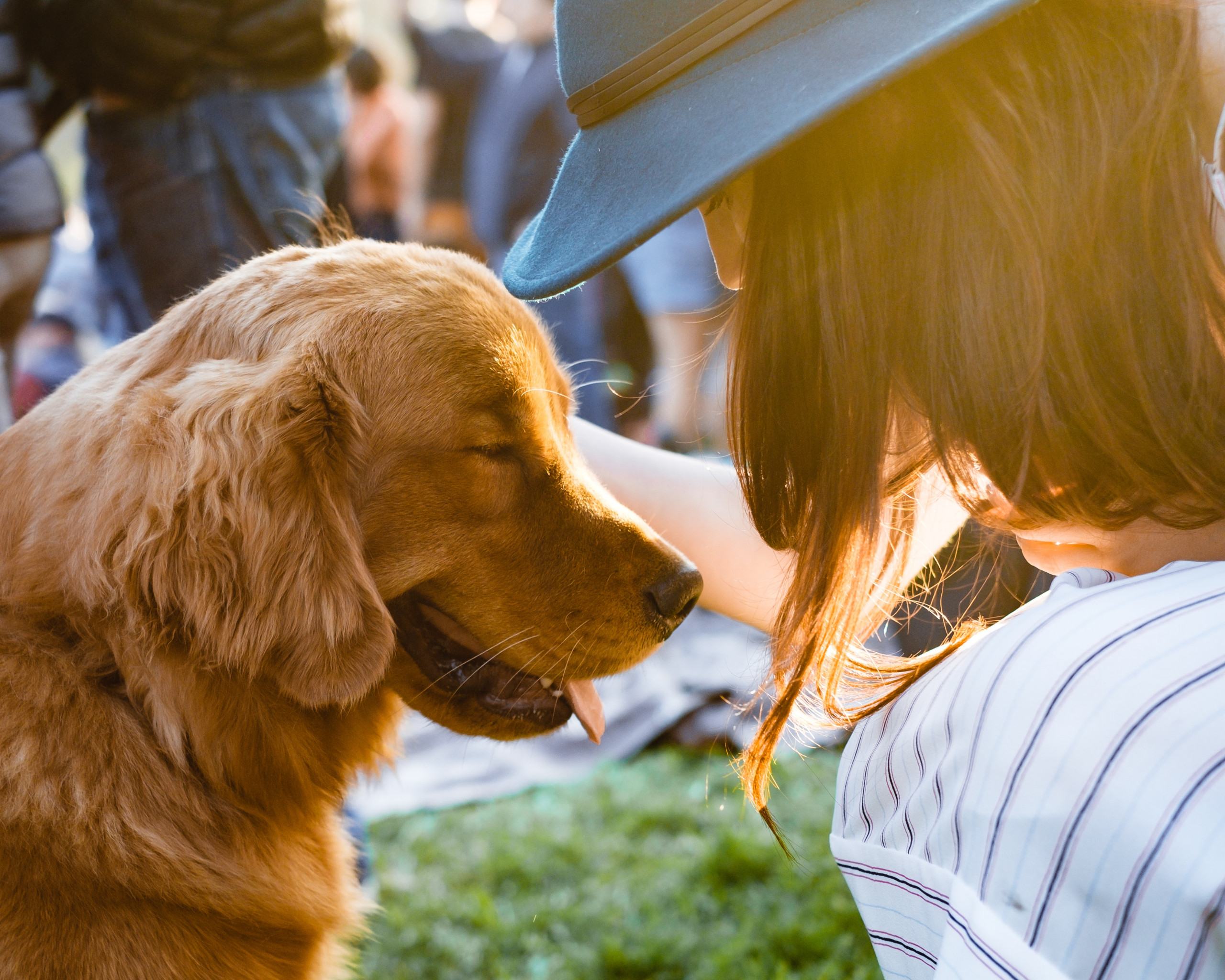 Five Benefits of Animal Communication