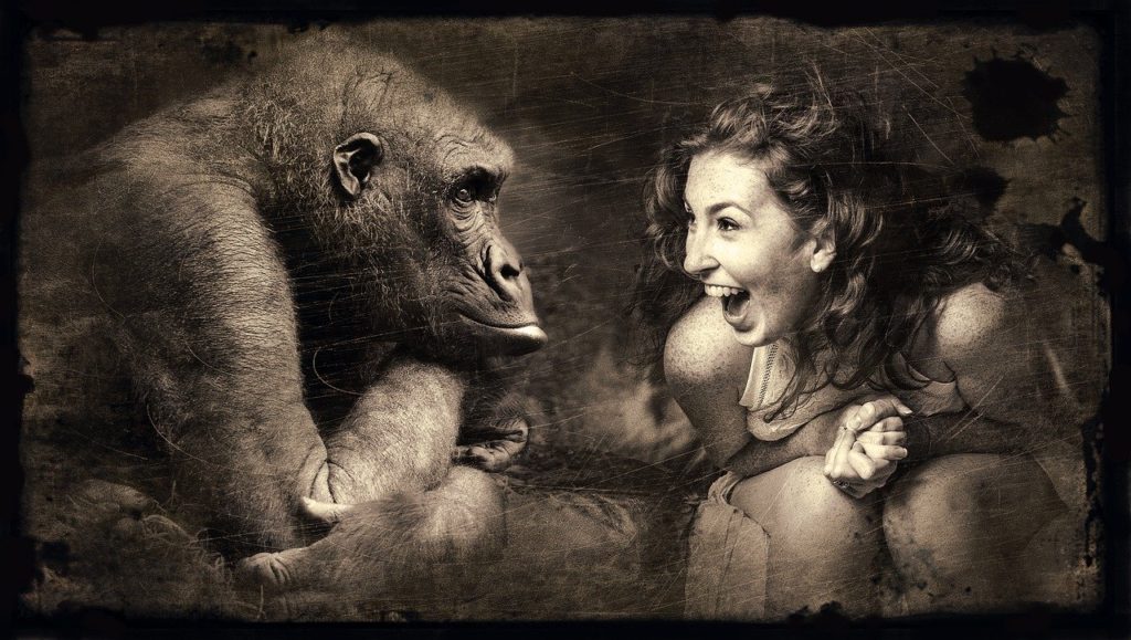 What’s Your Spirit Animal? The Truth Might Surprise You