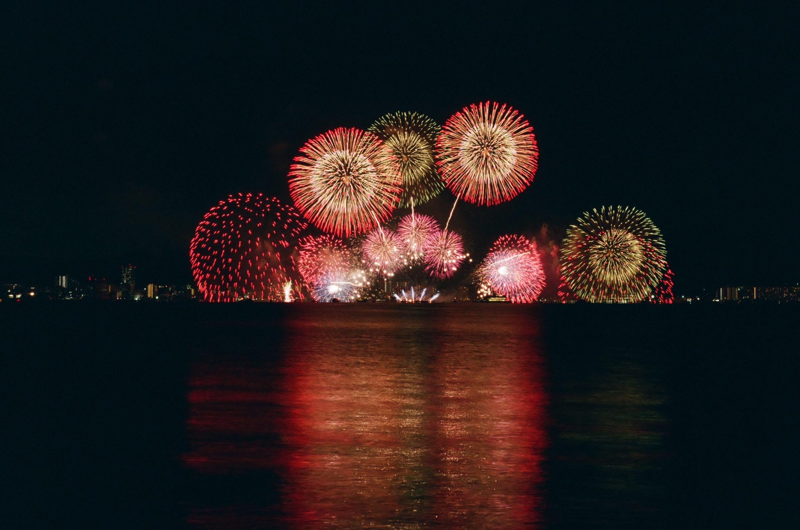 Is Your Pet Afraid Of Fireworks?