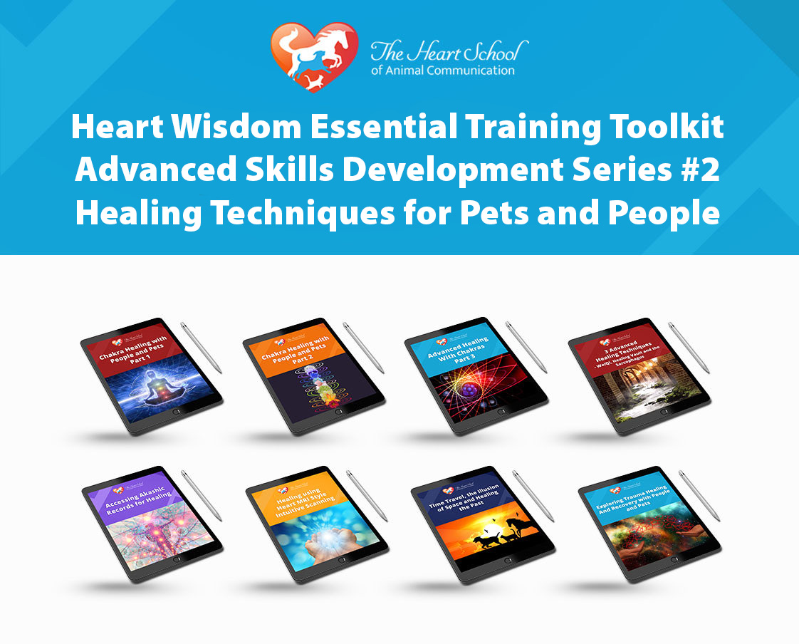 Toolkit Adv Skills Development Series #2 Healing