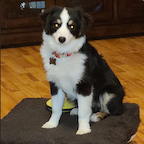 Miss Poppy Powers (Poppy)