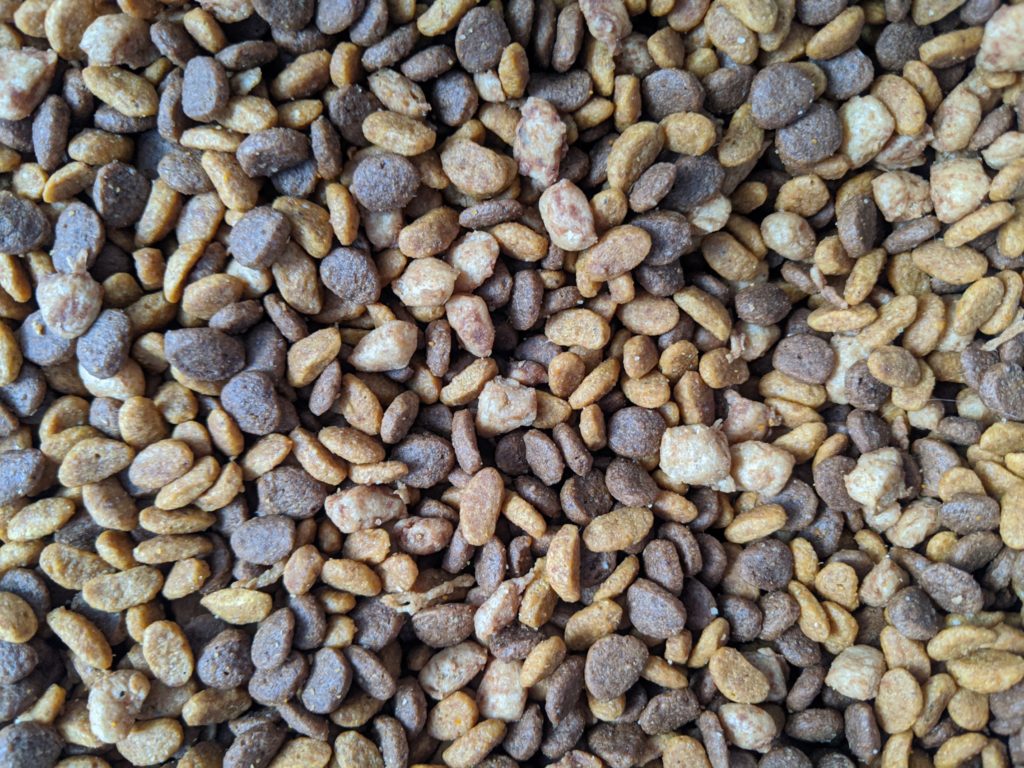 all about pet food