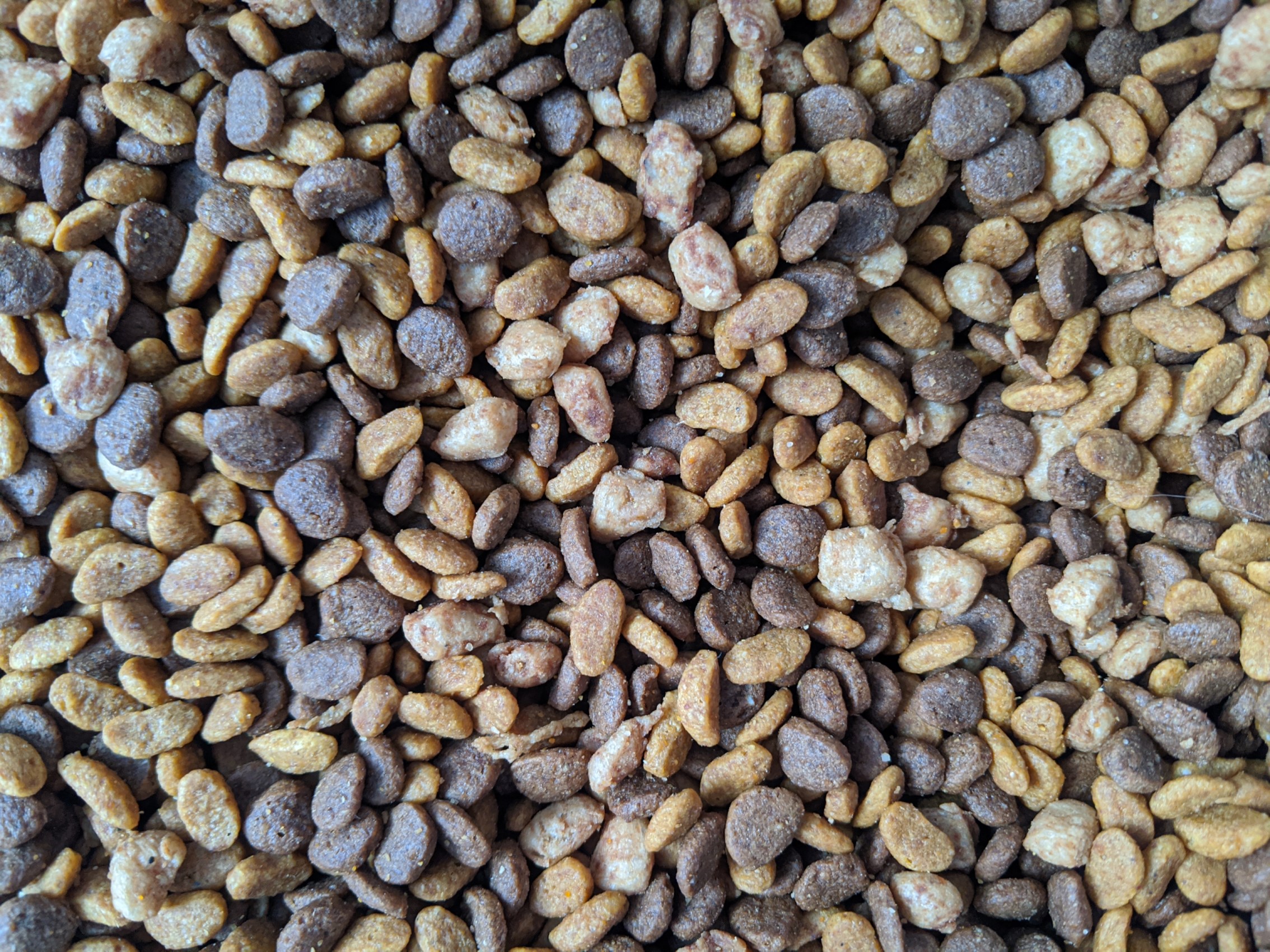 all about pet food