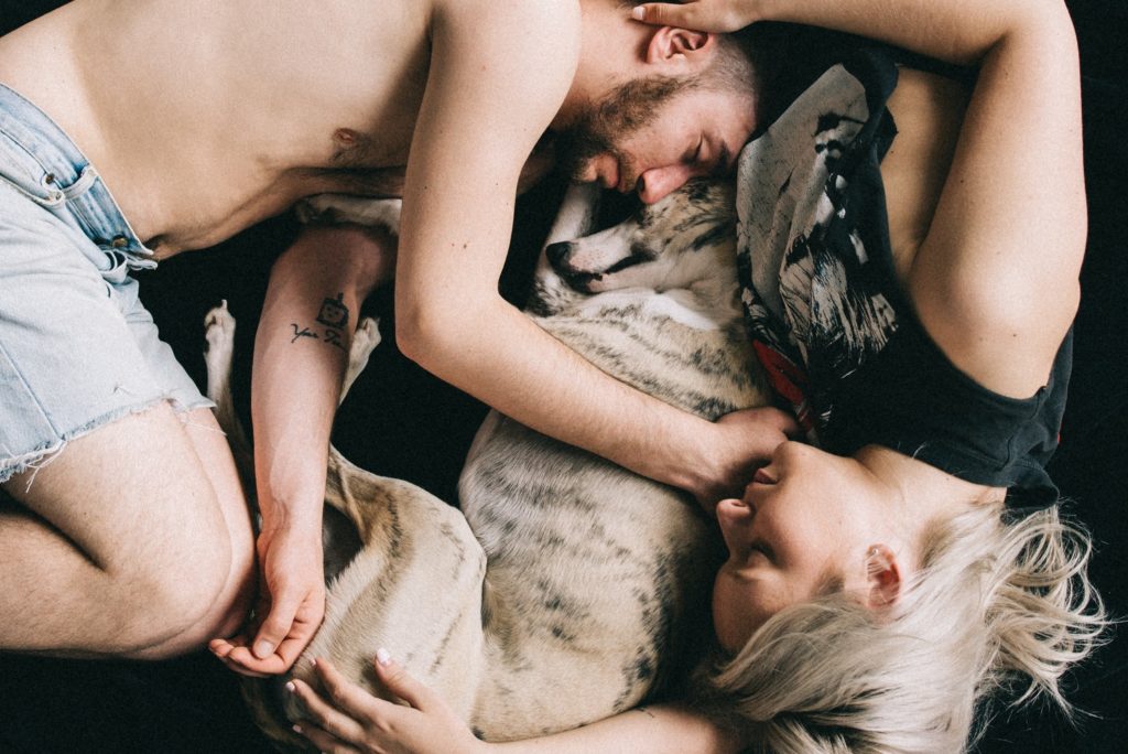 Human Animal BodyMind Connection