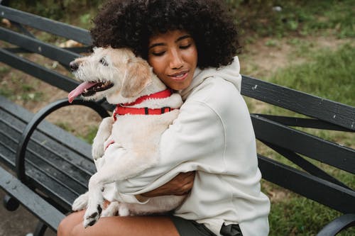 benefits of having pets