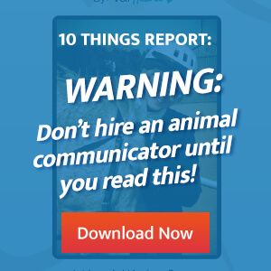 Read Before Hiring a Communicator