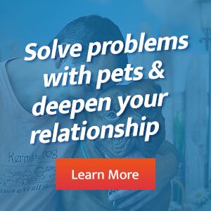 Solve Problems with Your Pet