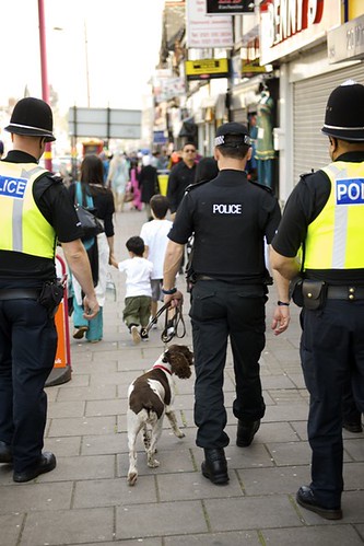 K9 Officer