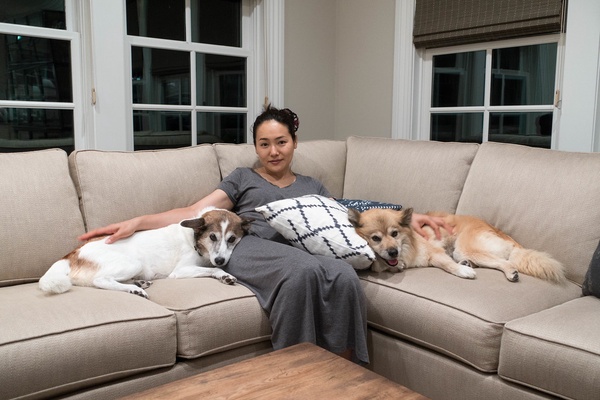 jobs for dog lovers 9
