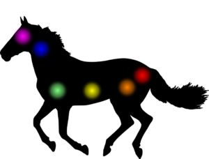 communicate with animals 2