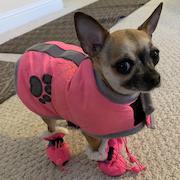 Priscilla-BarbG pink