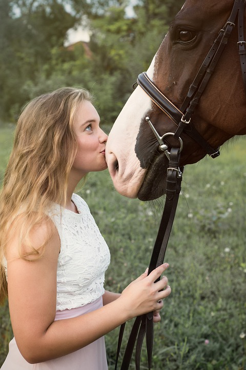 lame horse 2