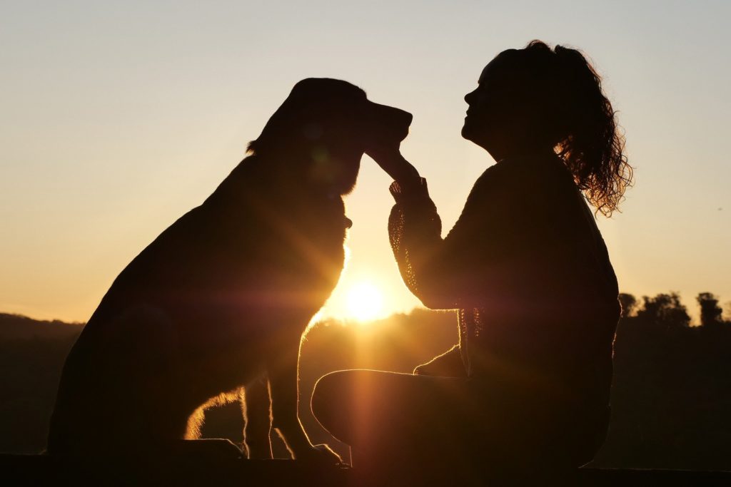 communicate with animals 4