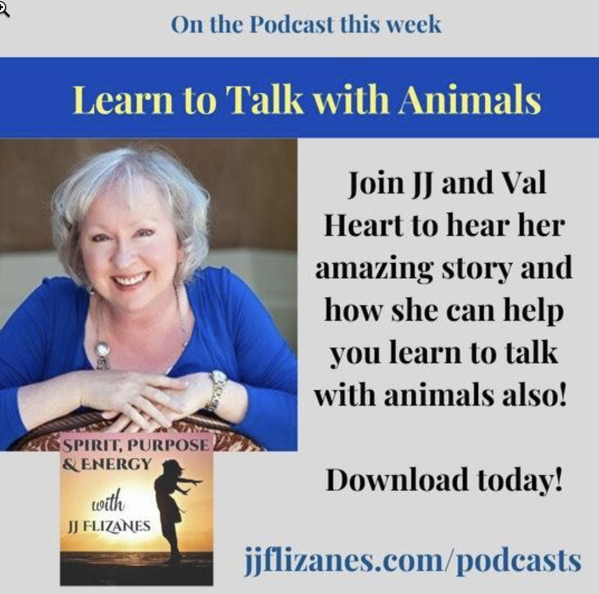 talk with animals
