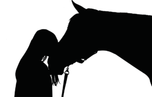  BodyMind Connection