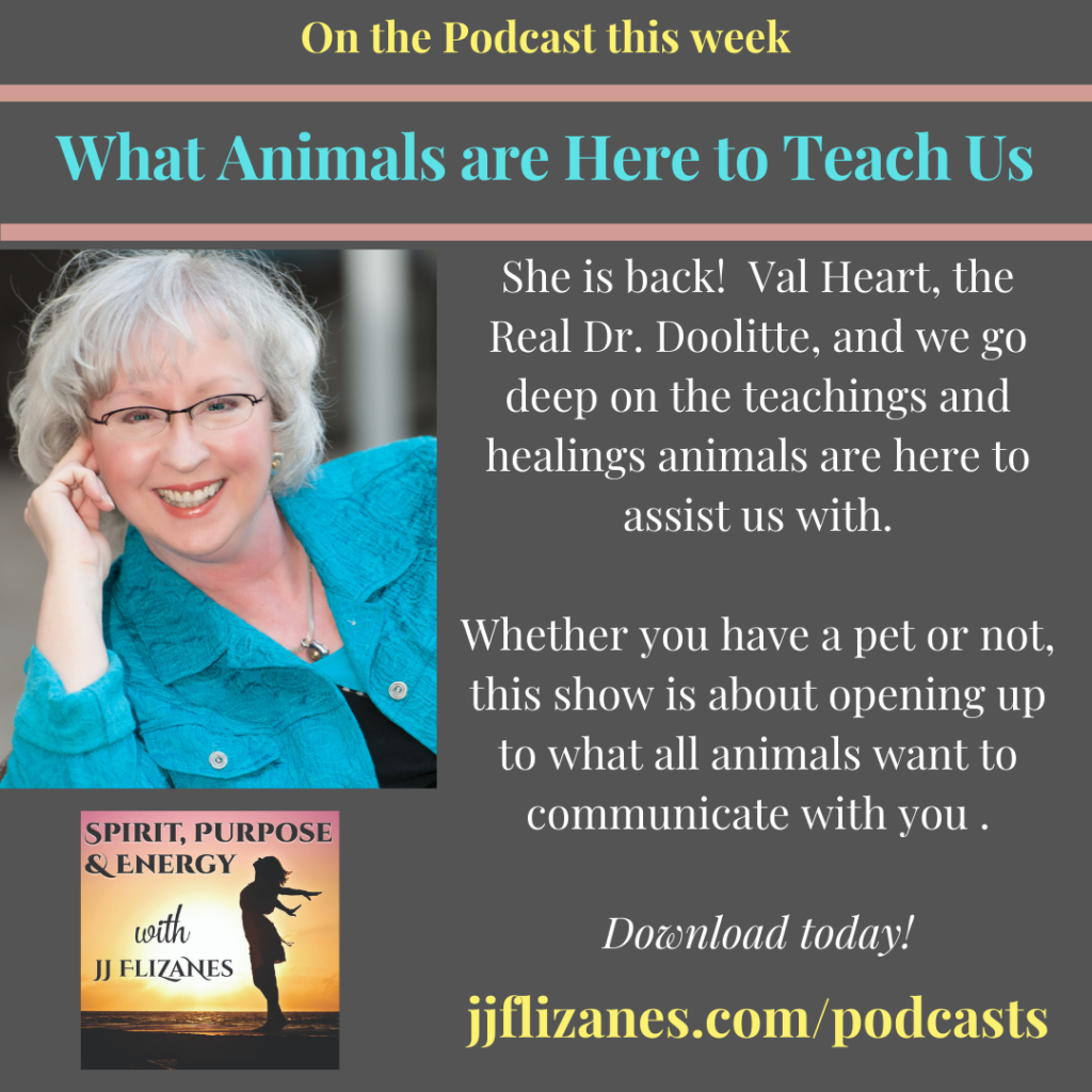 animals as teachers