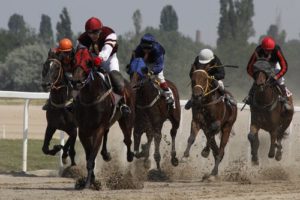 communicating with horses 2