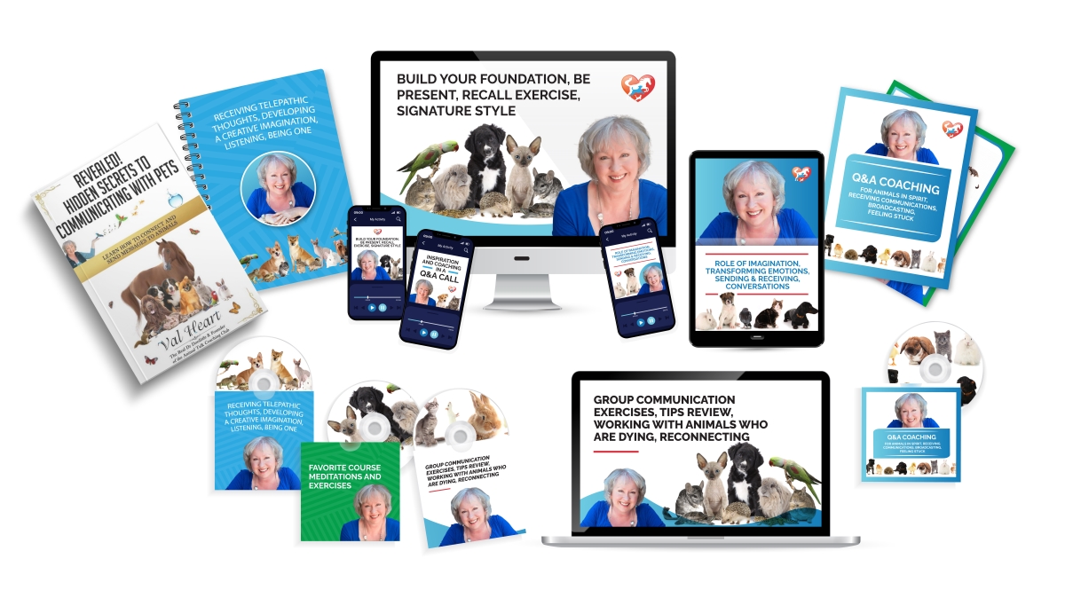 Begin your journey to learn how to speak your animals language here with the Beginning Course