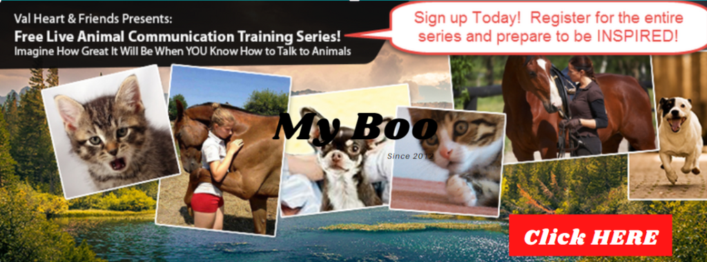 Click Here for Interview Series
