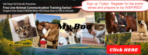 Click Here for Interview Series