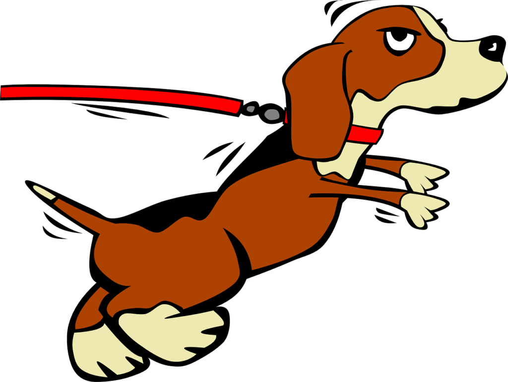 stubborn dog
