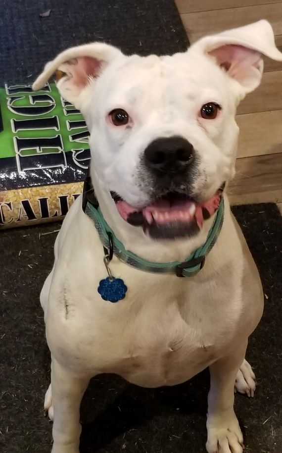 Layla-CarolH