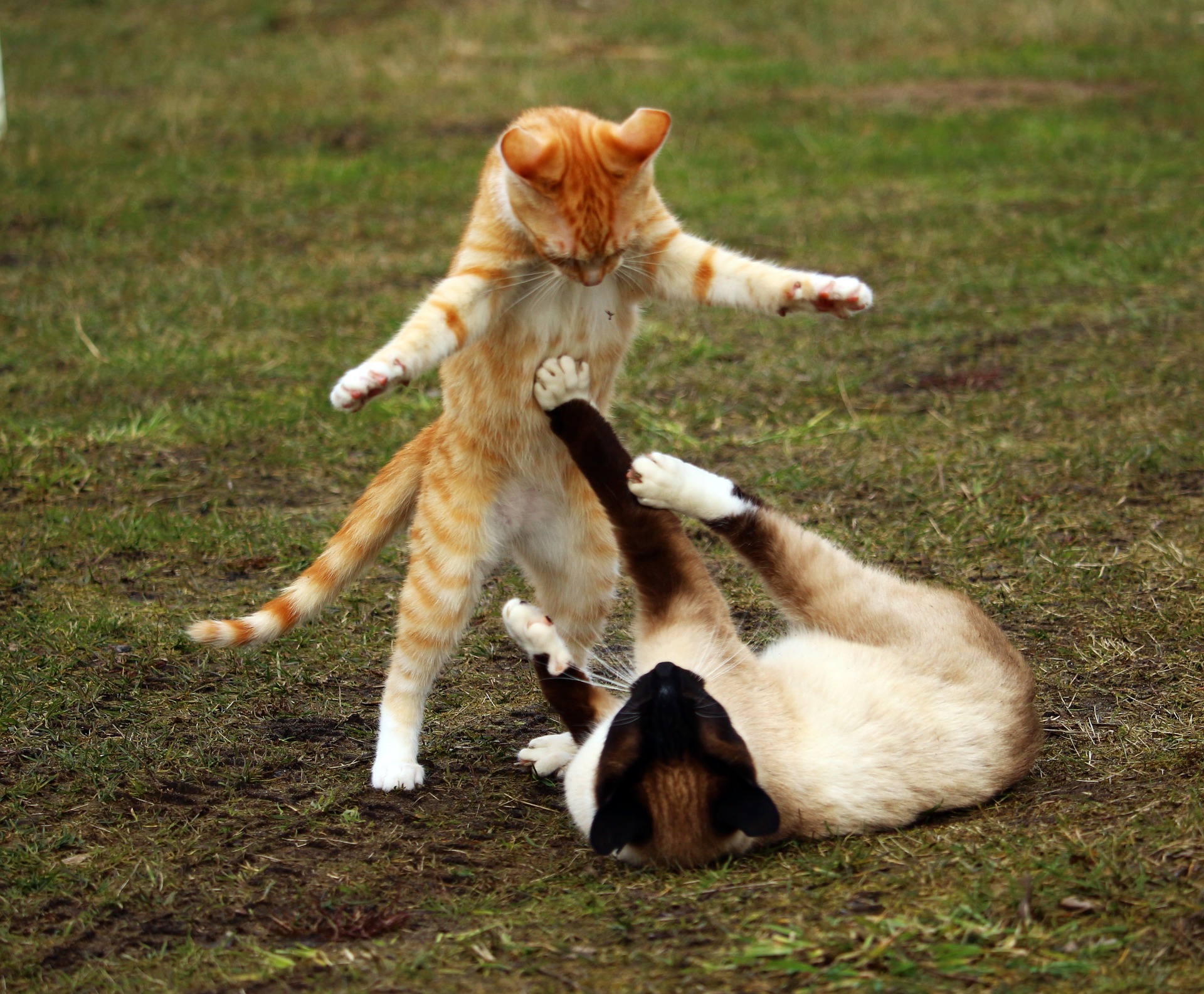 behavior problems