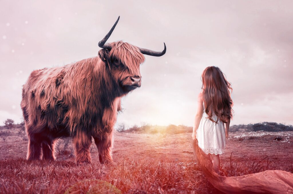 communication with animals