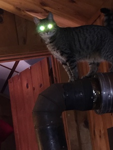 Rumery on stove pipe