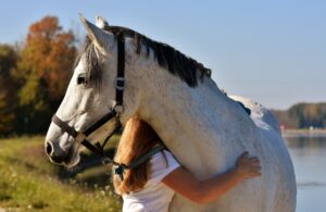 animal communication and inner healing heart