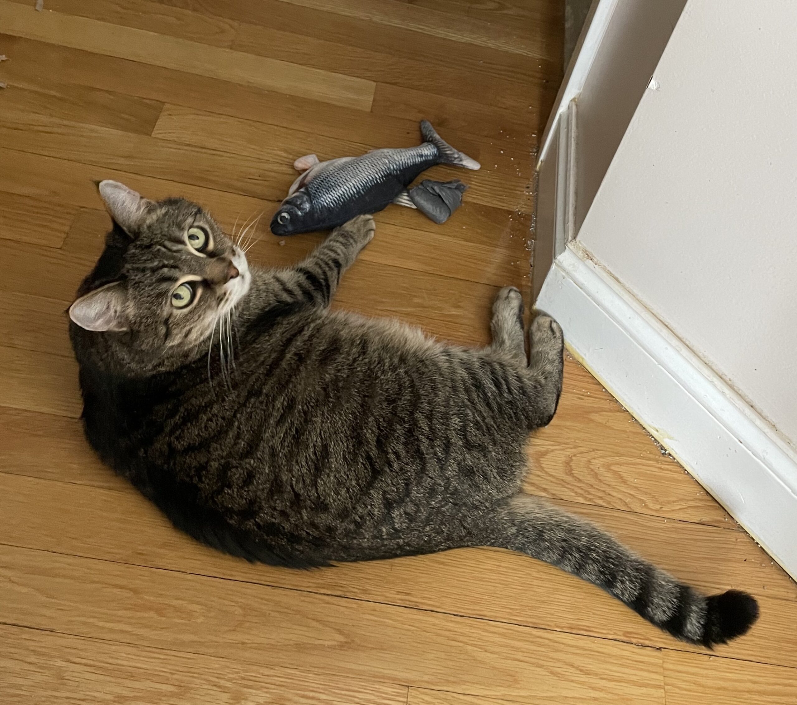 Rumery and flopping fish
