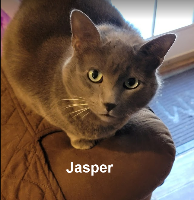 Erika T's Jasper