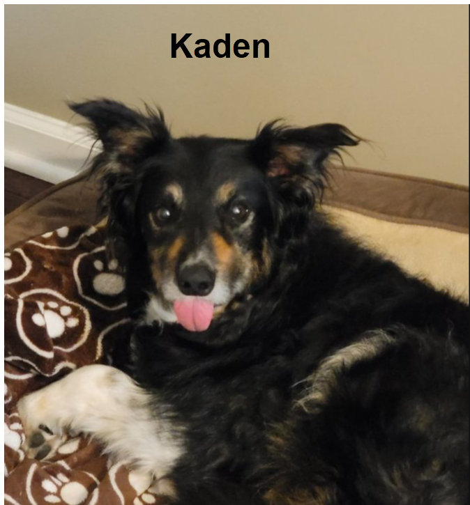 Erika T's Kaden