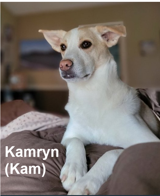 Erika T's Kamryn