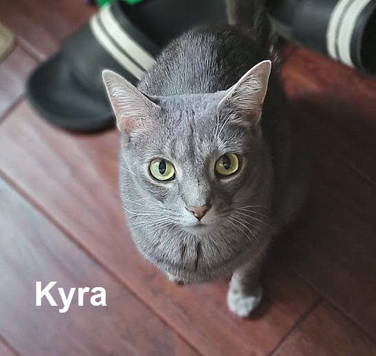 Erika T's Kyra