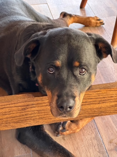 Sophie-TerrianeM.jpg