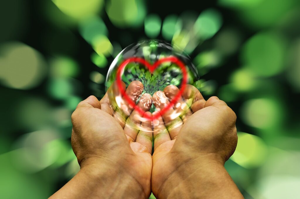 open your heart